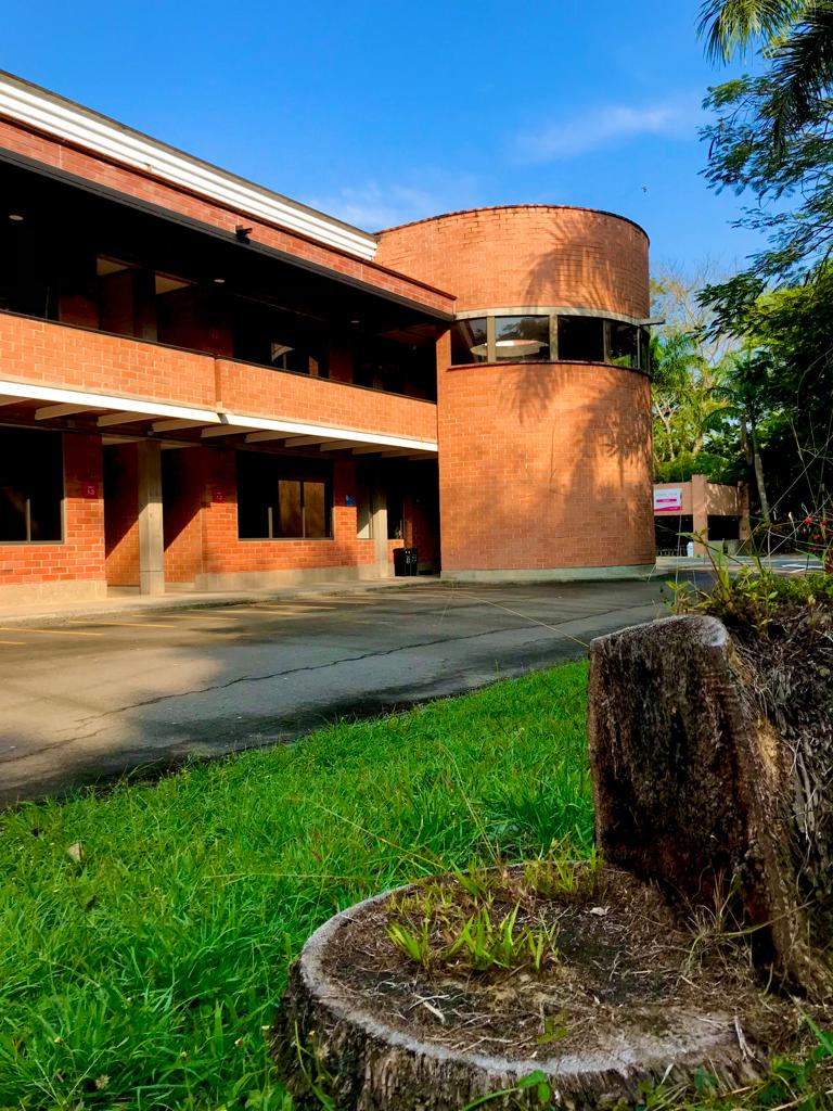 Nuestra sede, acogedora y en un ambiente agradable y muy natural